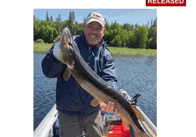 How Do Restricted Access Areas Help Improve Hunting and Fishing Opportunities?